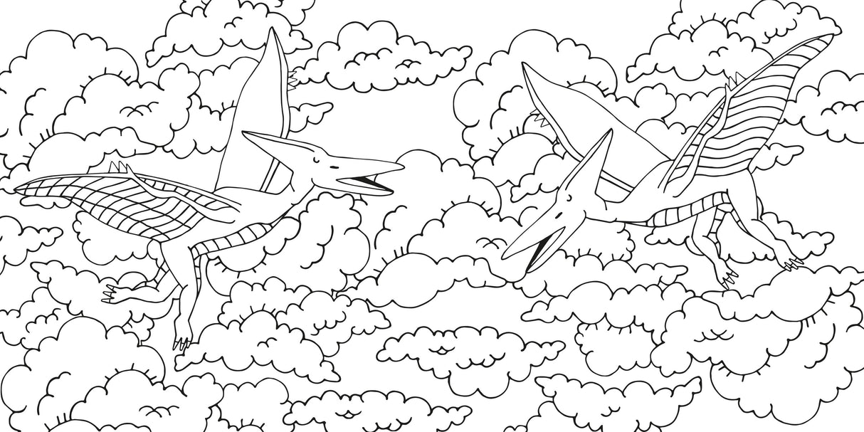 Dinosaur Colouring Book