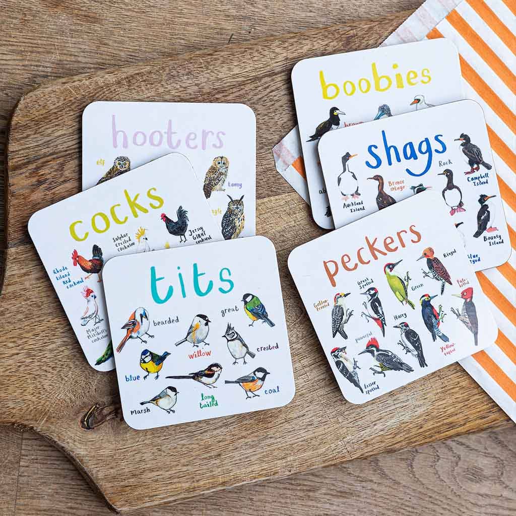 Sarah Edmonds Set of 6 Bird Pun Coasters – illustrated design