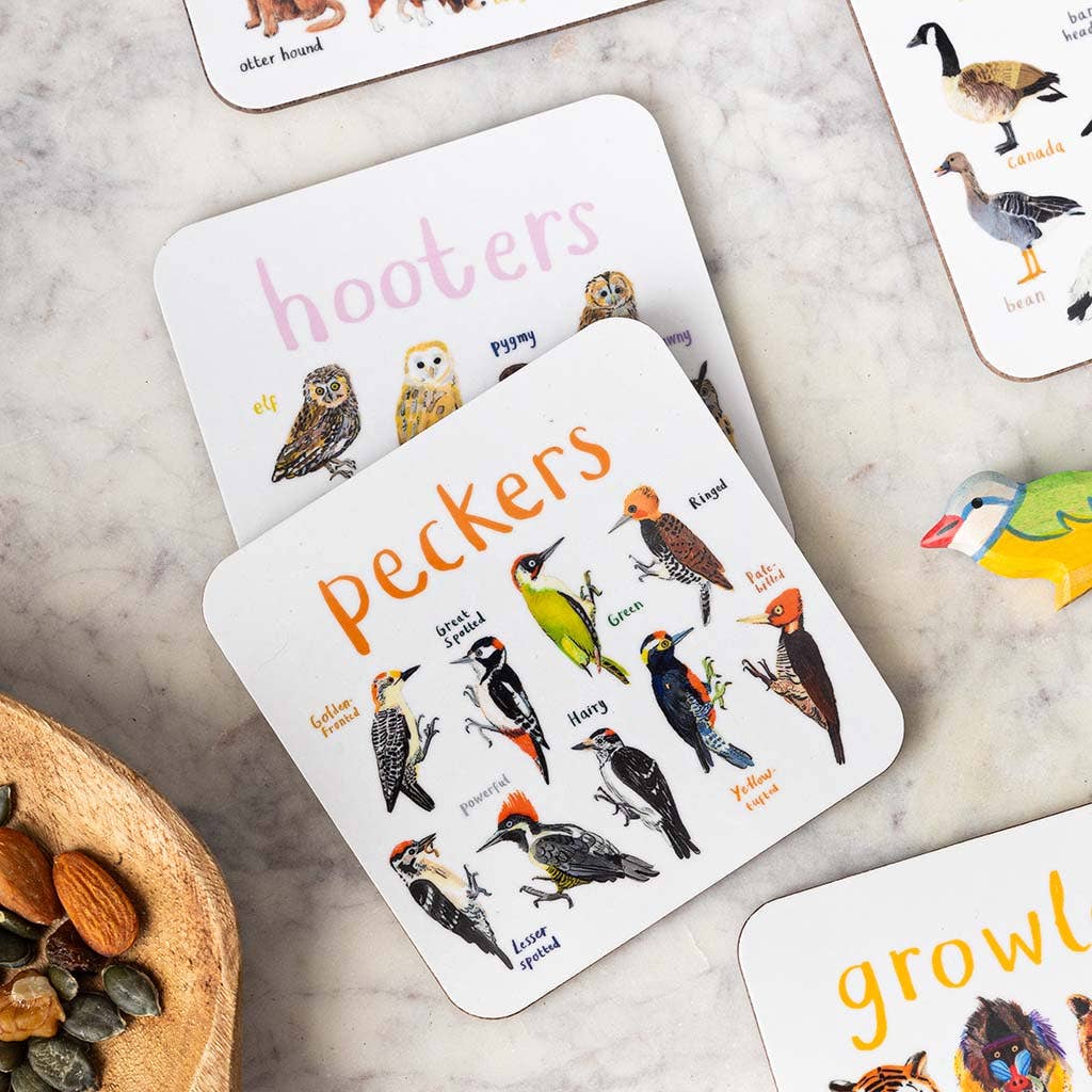 Sarah Edmonds Set of 6 Bird Pun Coasters – illustrated design