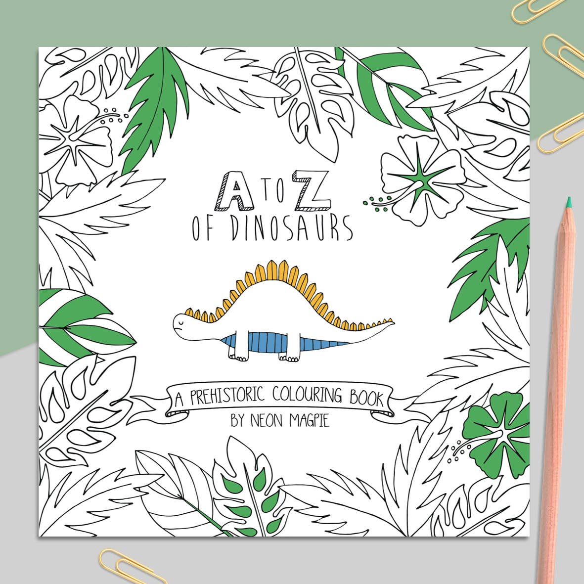 Dinosaur Colouring Book