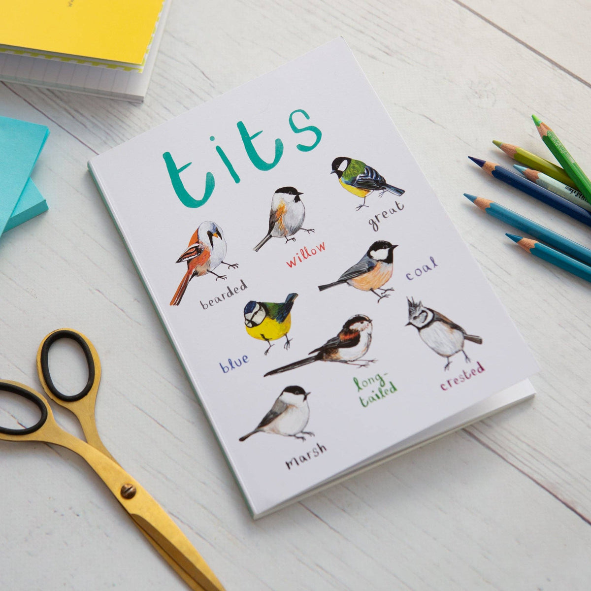 Sarah Edmonds Tits A5 Recycled Bird Notebook – illustrated design