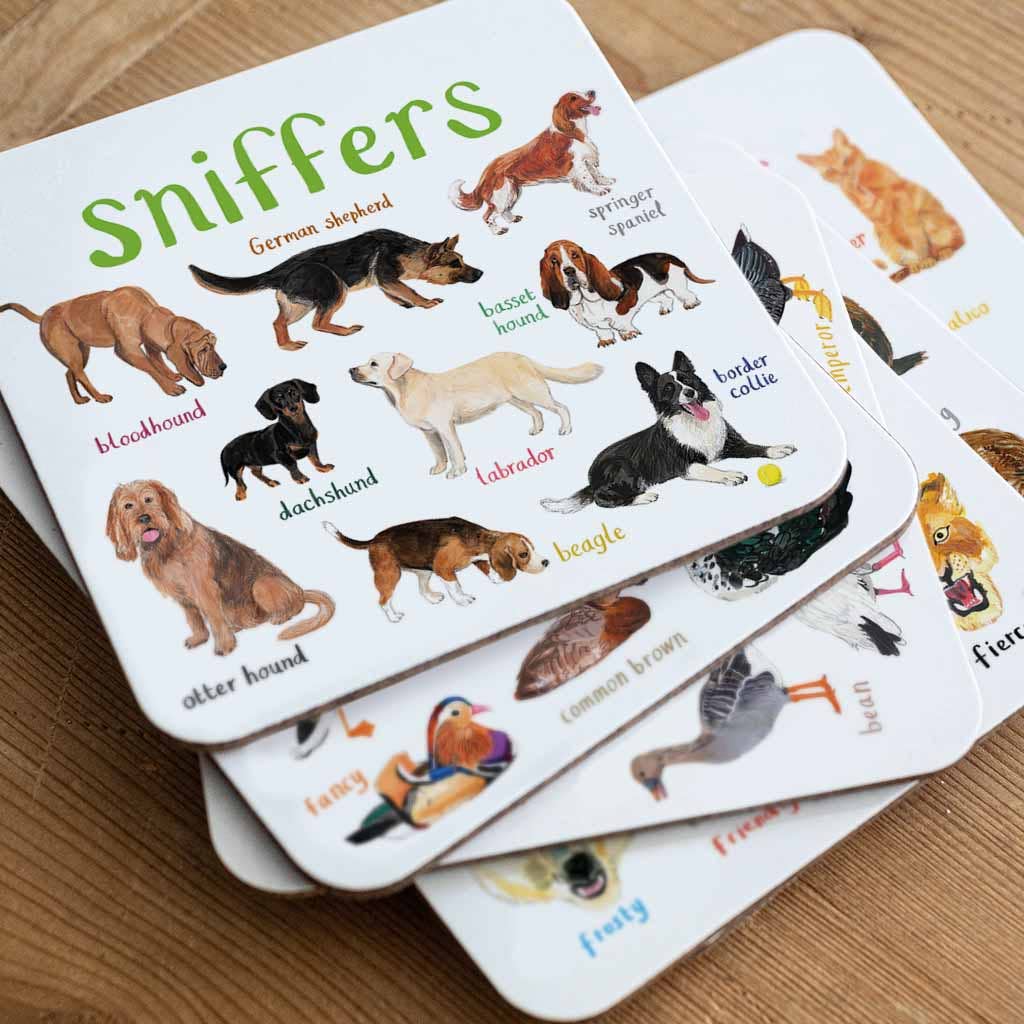 Sarah Edmonds Set of 6 Wild Pun Coasters – illustrated design