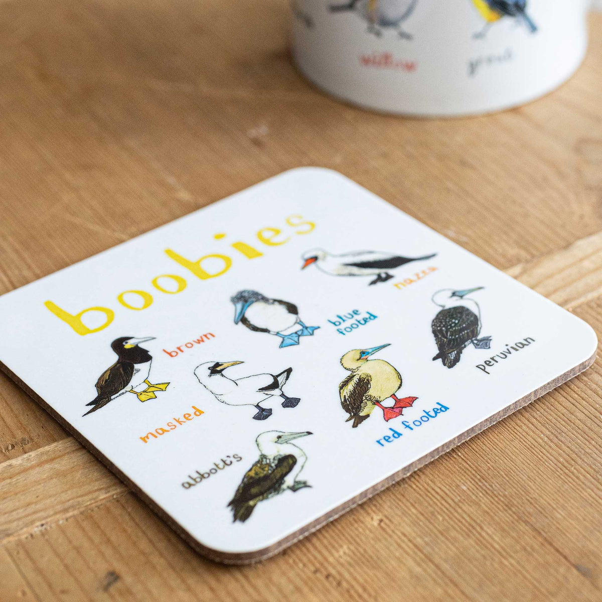 Sarah Edmonds Boobies Bird Coaster – illustrated design