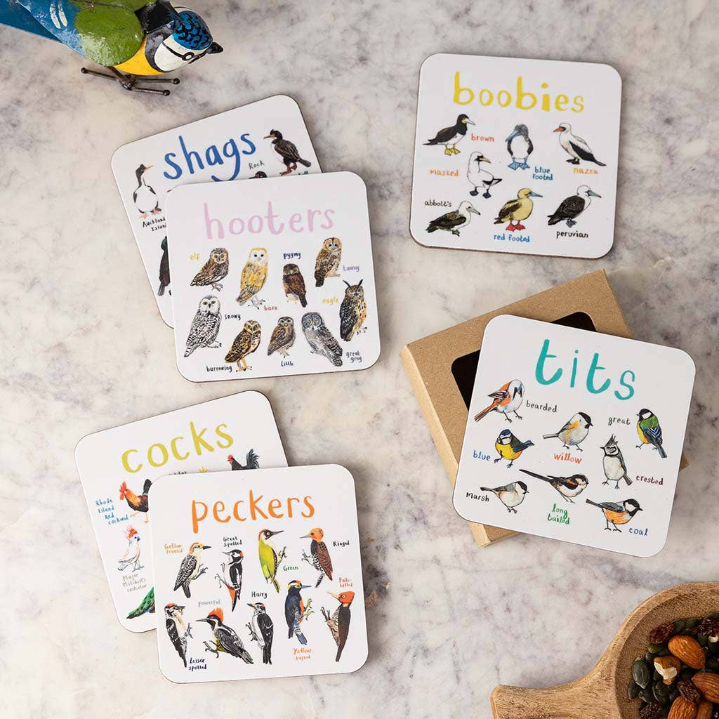 Sarah Edmonds Set of 6 Bird Pun Coasters – illustrated design