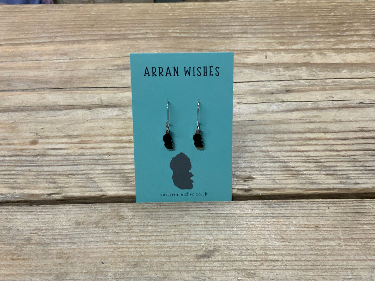 Arran Wishes Arran Earrings