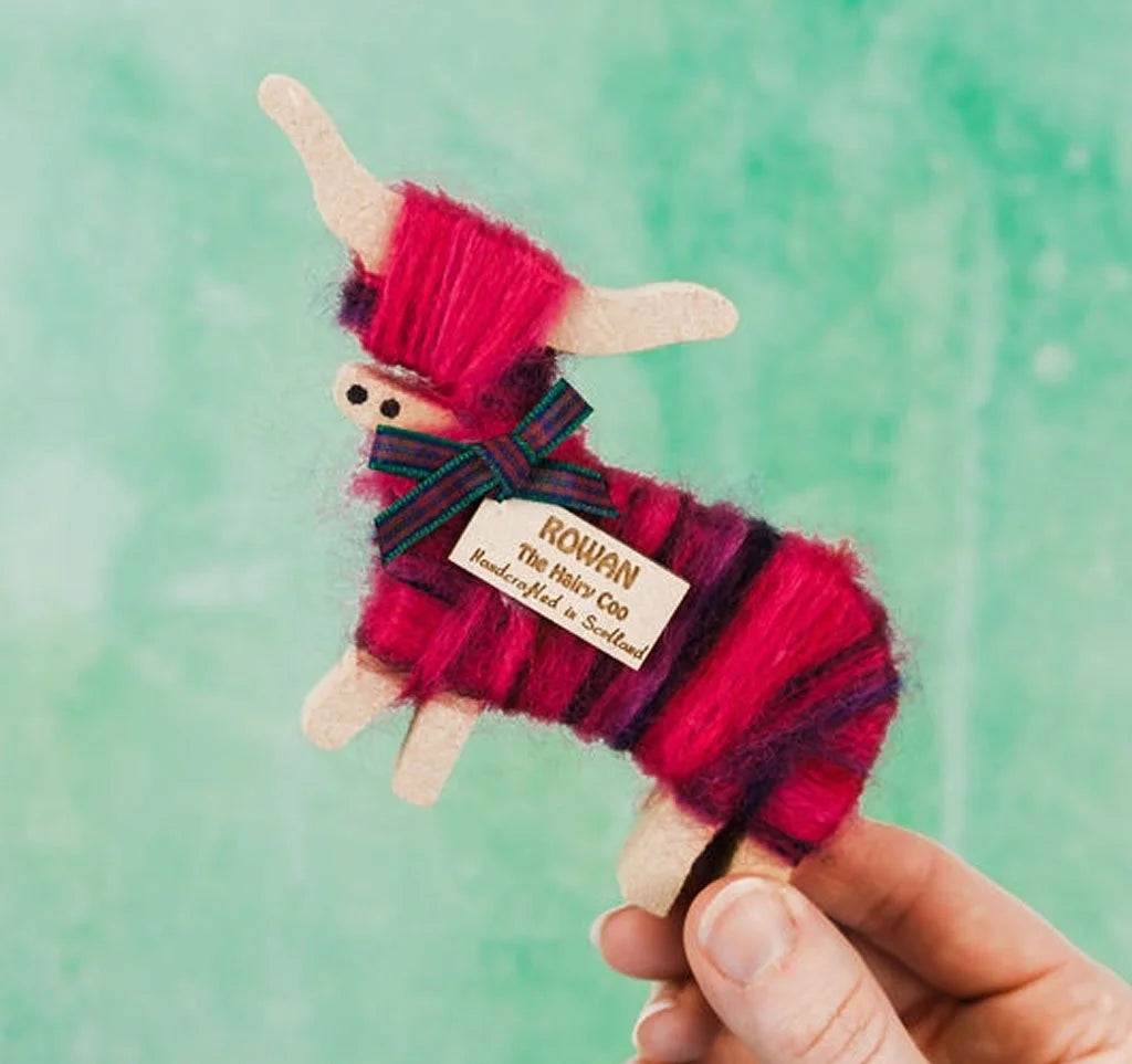 Hairy Coo Standing Coo