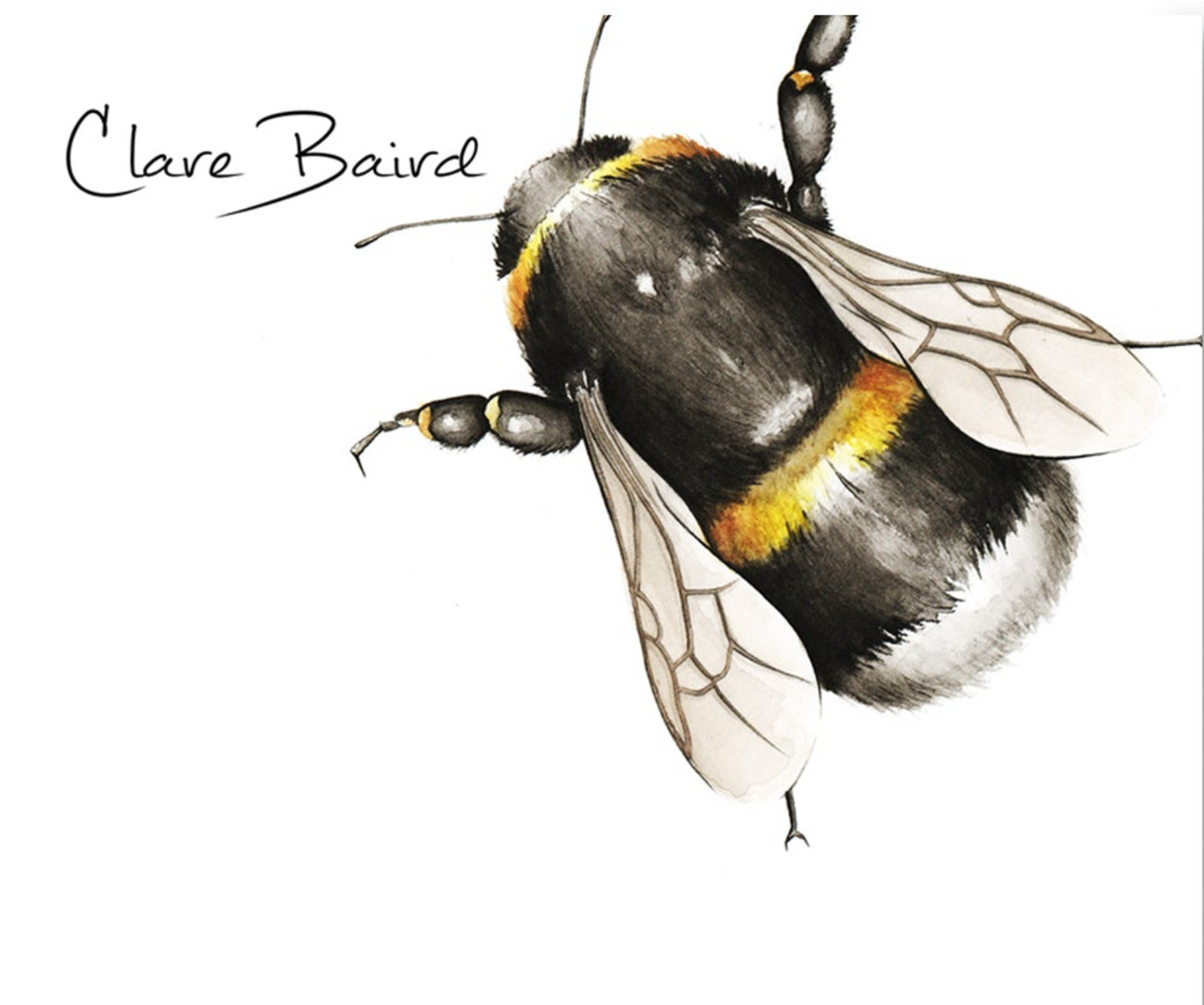 Clare Baird Porcelain Mug