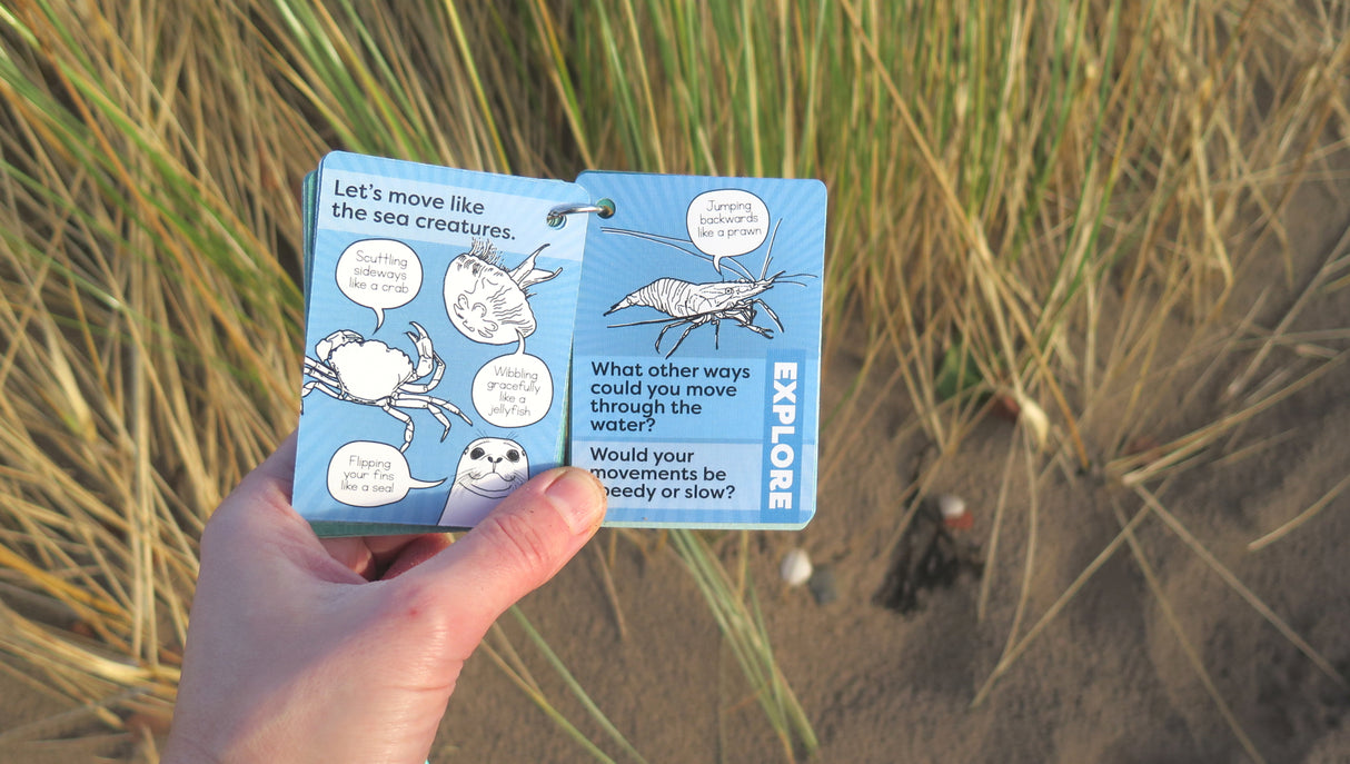 COASTAL Outdoor Explorer Cards