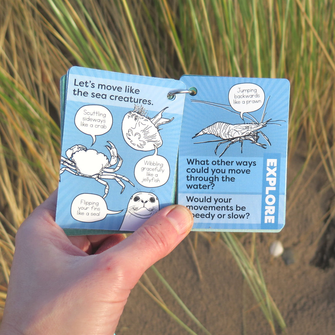 COASTAL Outdoor Explorer Cards