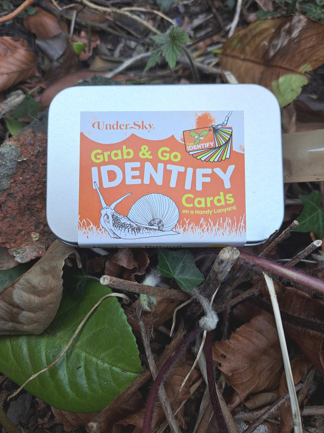 IDENTIFY Minibeasts and Trees Explorer Cards