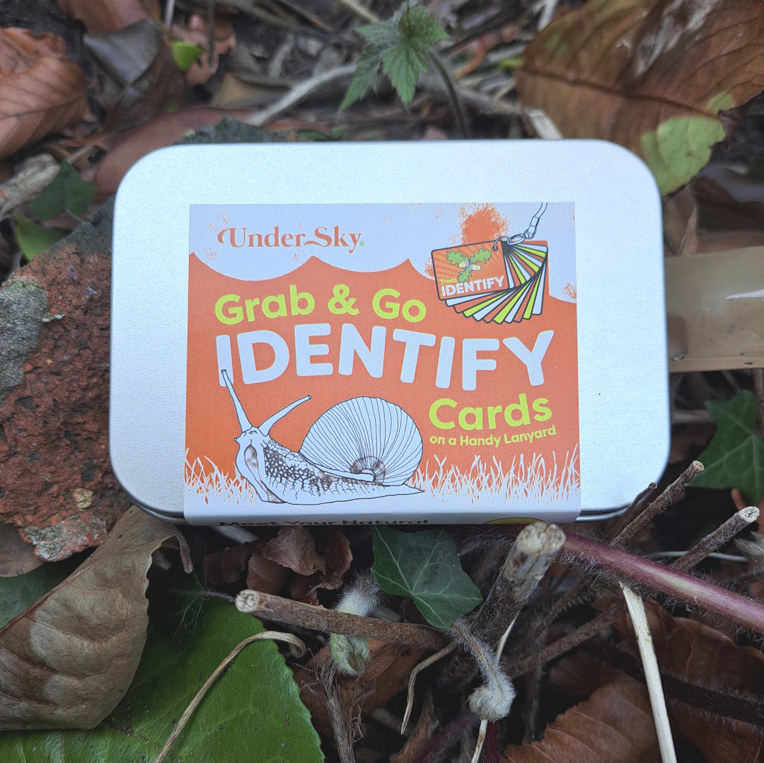 IDENTIFY Minibeasts and Trees Explorer Cards