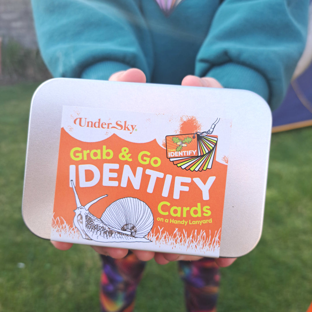 IDENTIFY Minibeasts and Trees Explorer Cards