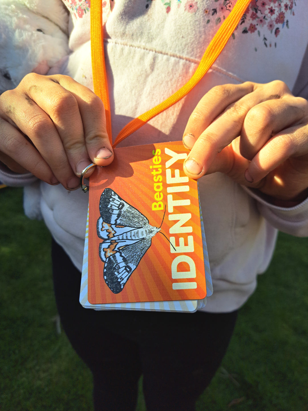 IDENTIFY Minibeasts and Trees Explorer Cards