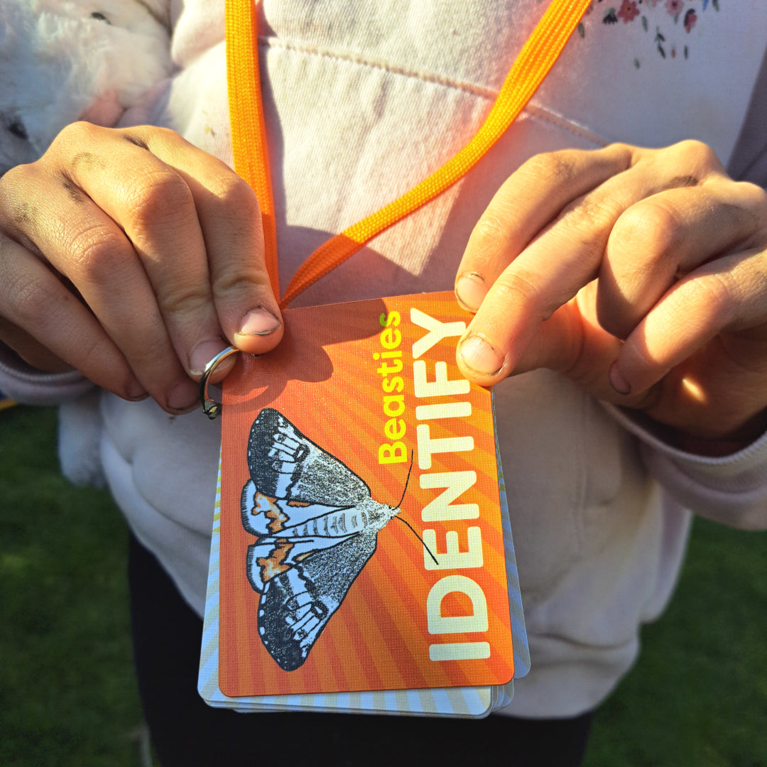 IDENTIFY Minibeasts and Trees Explorer Cards