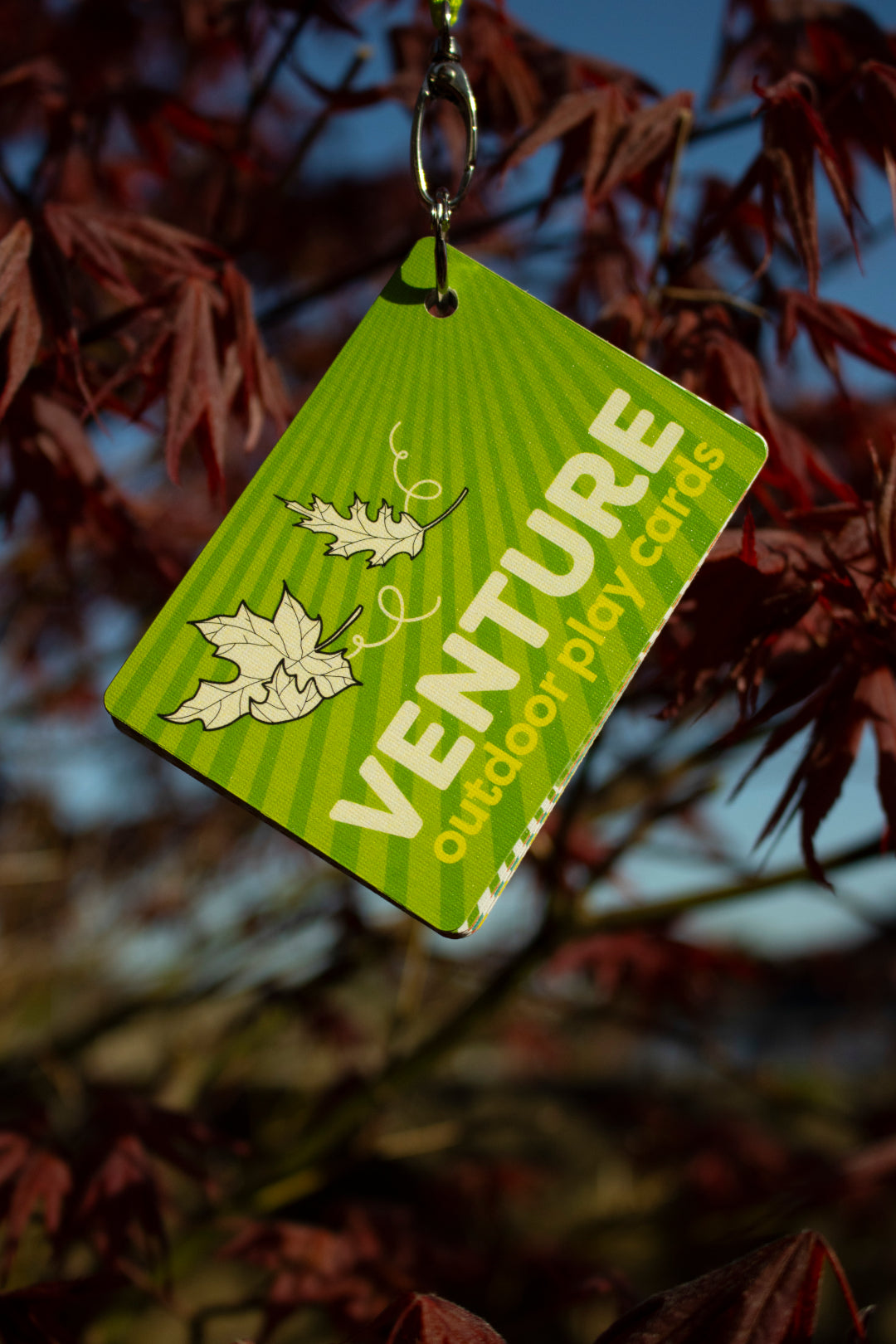 VENTURE Outdoor Play Cards