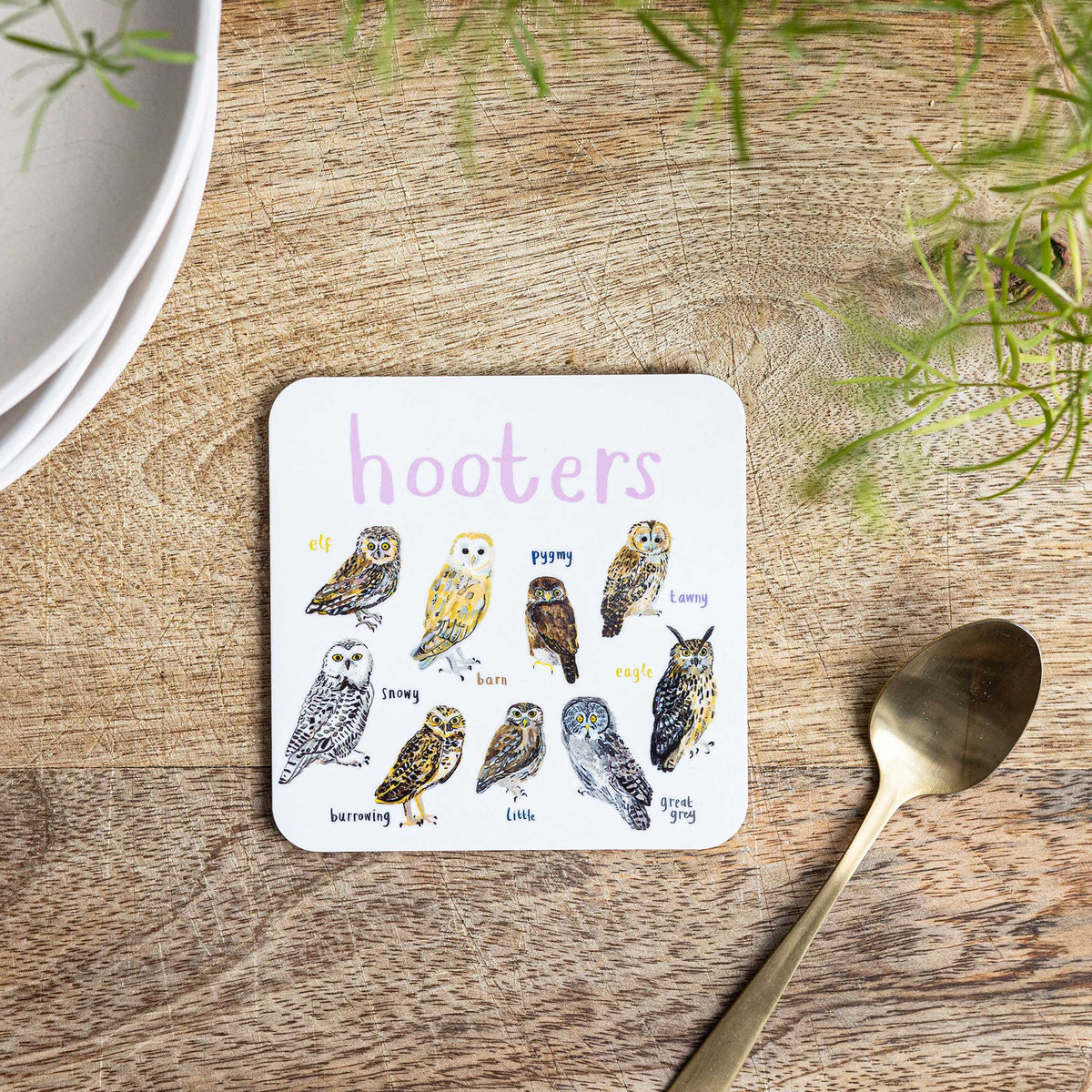 Sarah Edmonds Hooters Bird Coaster – illustrated design