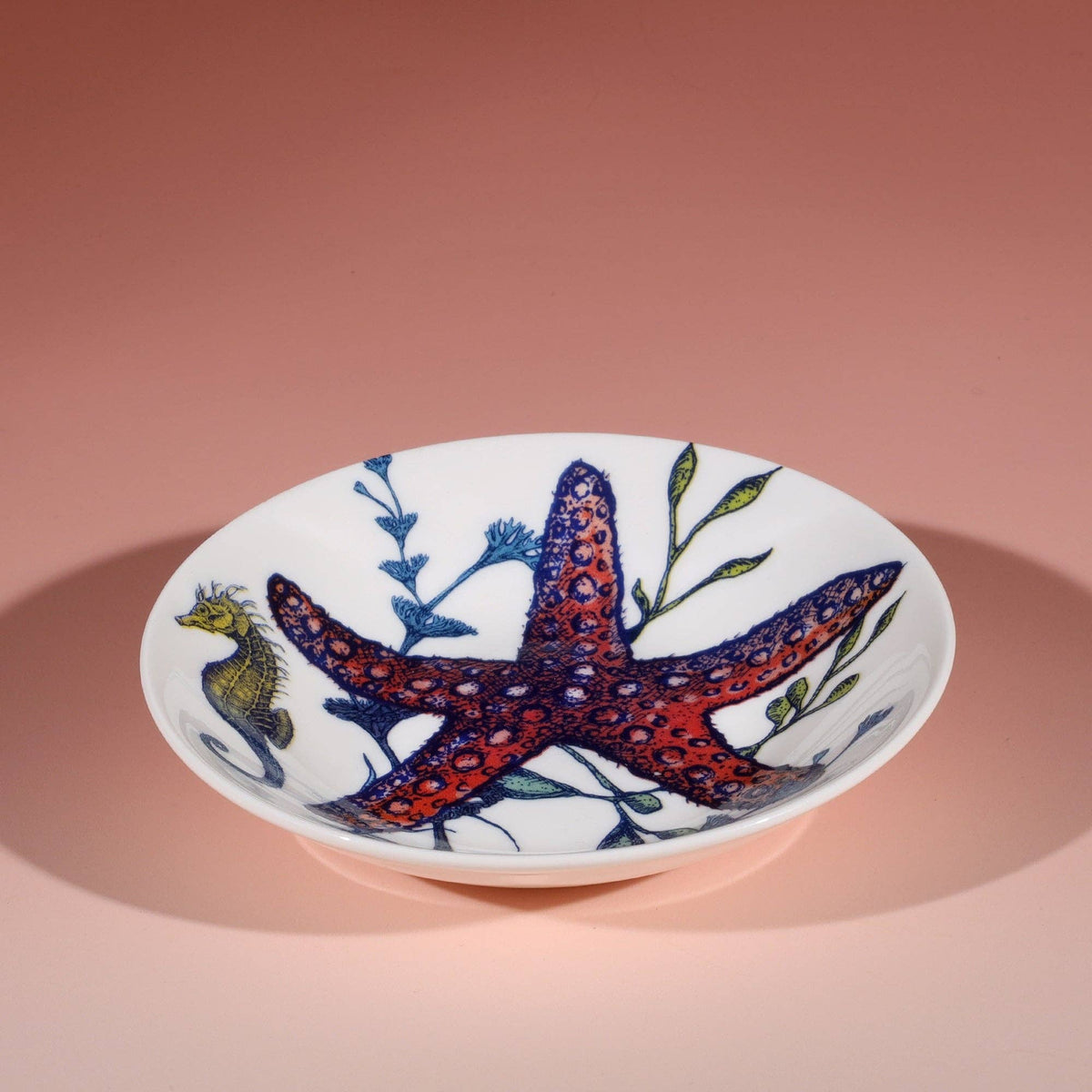 Reef starfish bone china nibbles dish by Cream Cornwall