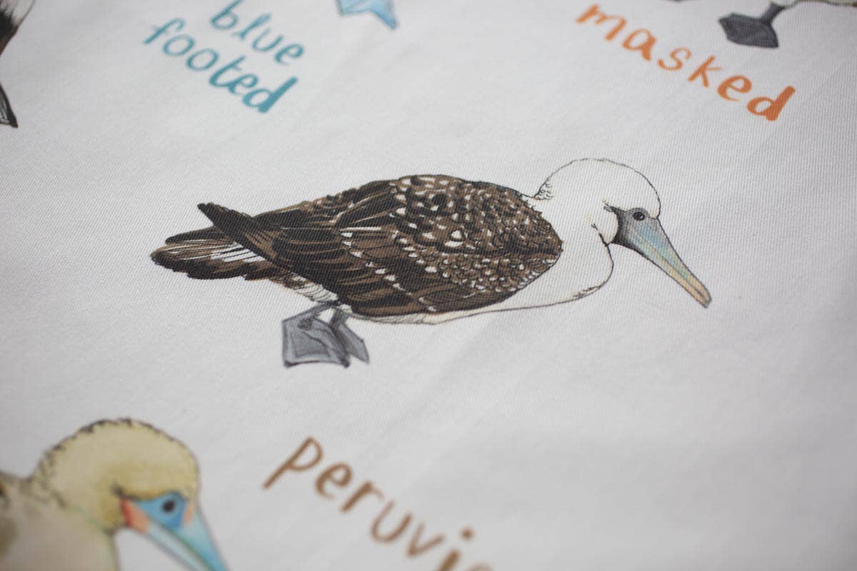 Sarah Edmonds Boobies Bird Cotton Apron – illustrated design