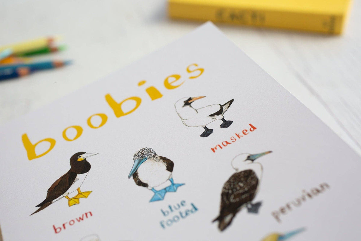 Sarah Edmonds Boobies Recycled Notebook - A5 – illustrated design