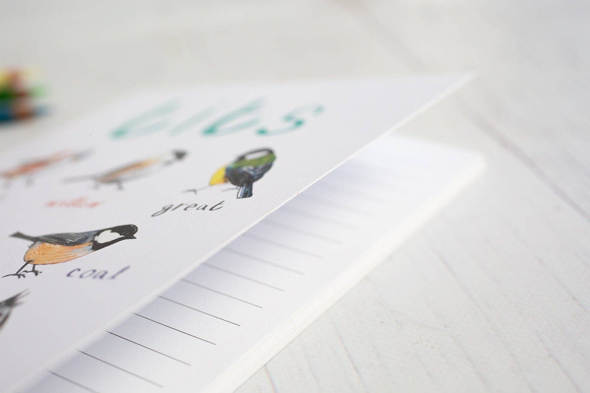 Sarah Edmonds Tits A5 Recycled Bird Notebook – illustrated design