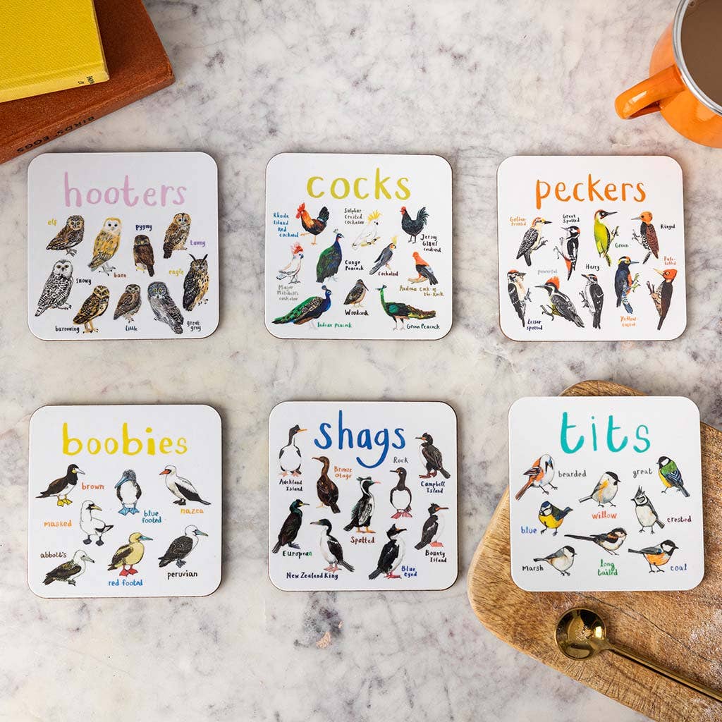Sarah Edmonds Set of 6 Bird Pun Coasters – illustrated design