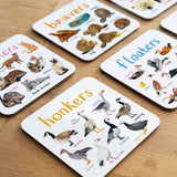 Sarah Edmonds Set of 6 Wild Pun Coasters – illustrated design