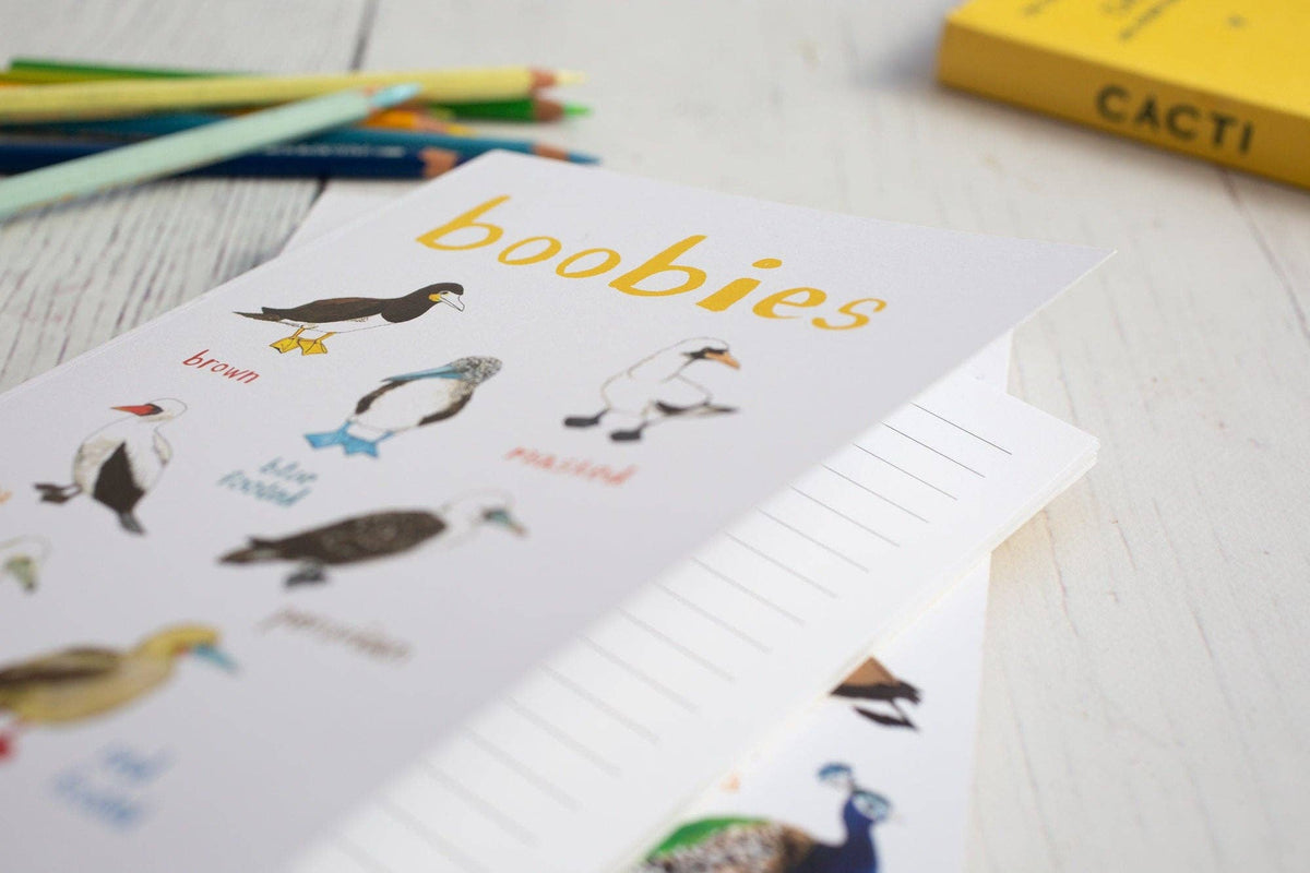 Sarah Edmonds Boobies Recycled Notebook - A5 – illustrated design