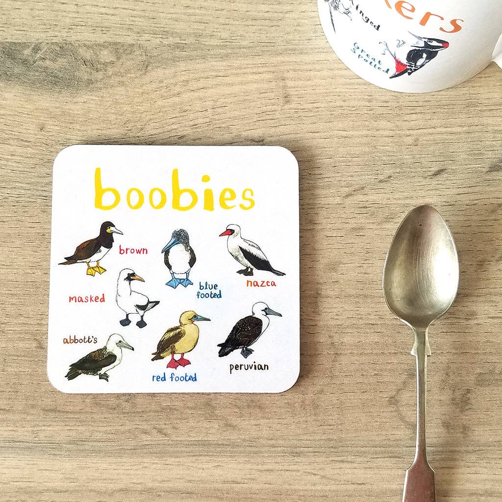 Sarah Edmonds Boobies Bird Coaster – illustrated design