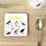 Sarah Edmonds Boobies Bird Coaster – illustrated design