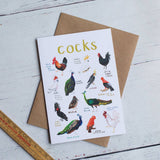 Sarah Edmonds Cocks Bird Greeting Card – illustrated design