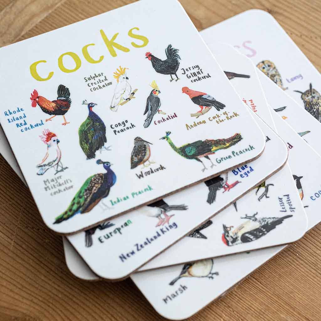Sarah Edmonds Set of 6 Bird Pun Coasters – illustrated design