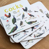 Sarah Edmonds Set of 6 Bird Pun Coasters – illustrated design