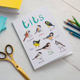 Sarah Edmonds Tits A5 Recycled Bird Notebook – illustrated design