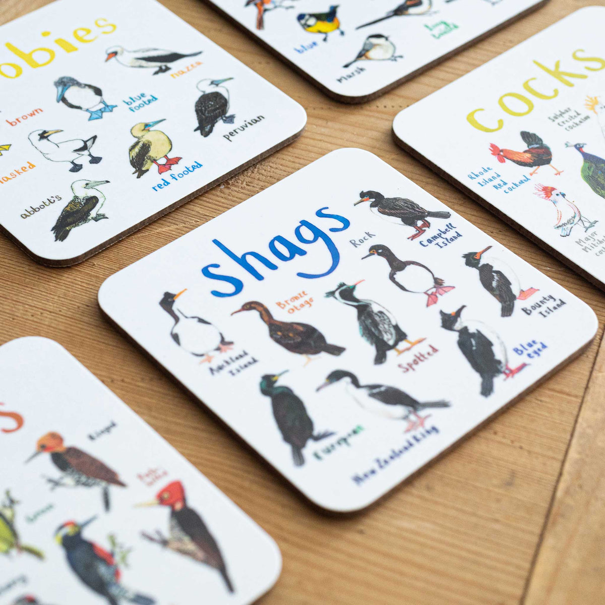 Sarah Edmonds Shags Bird Coaster – illustrated design