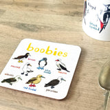 Sarah Edmonds Boobies Bird Coaster – illustrated design