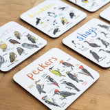 Sarah Edmonds Set of 6 Bird Pun Coasters – illustrated design