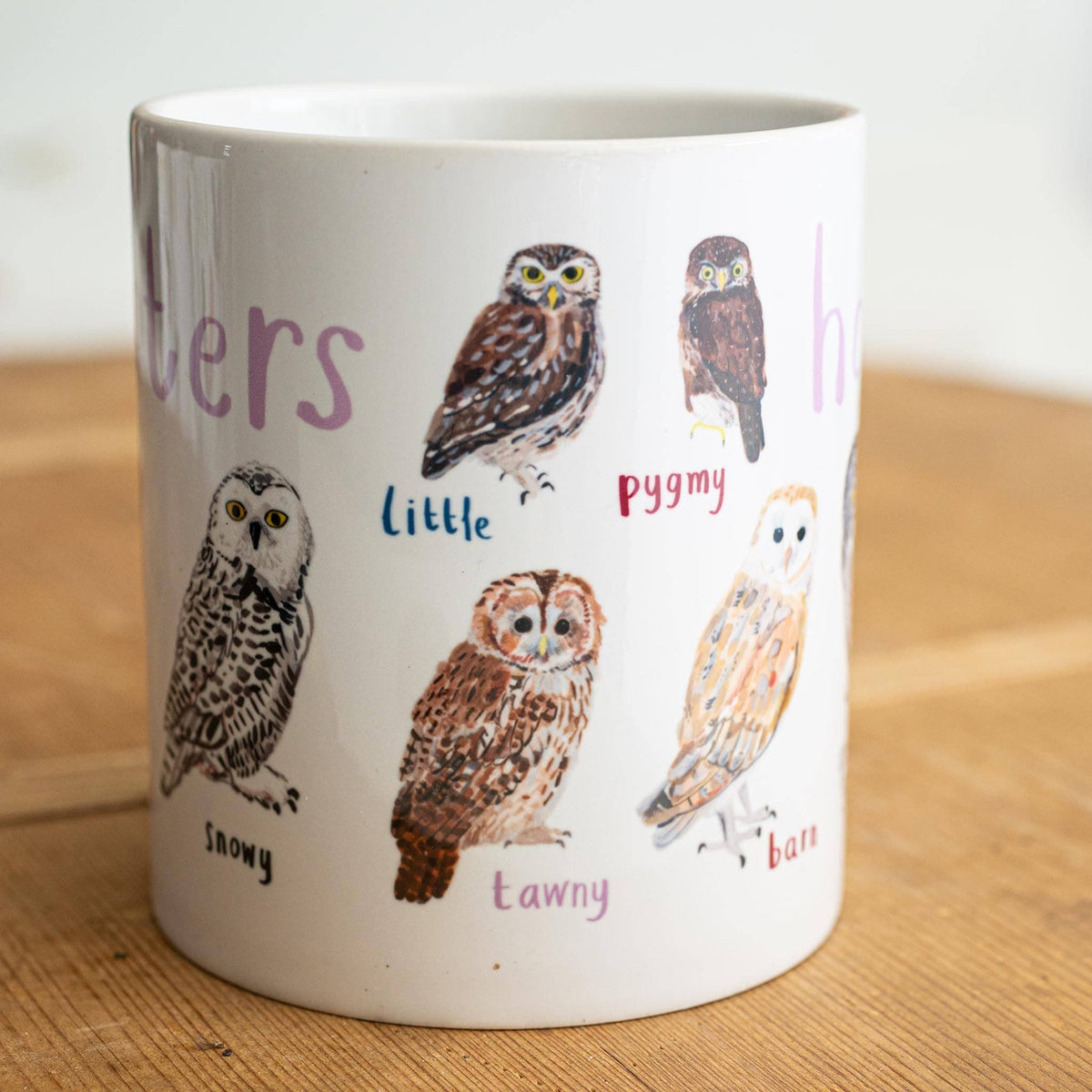 Sarah Edmonds Hooters Bird Mug – illustrated design