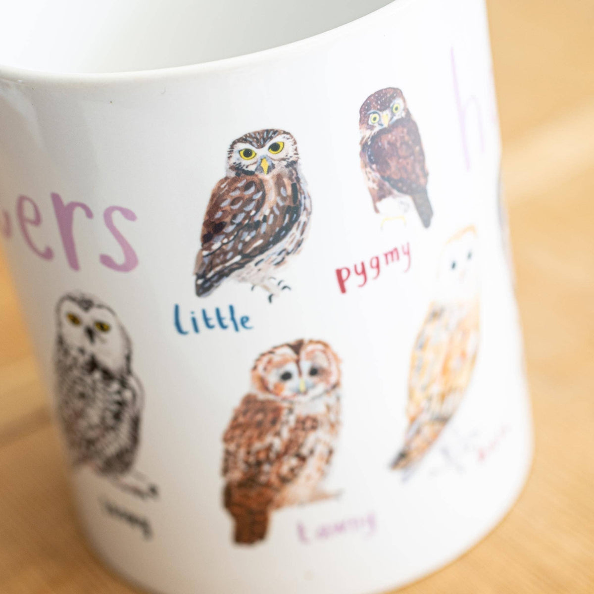 Sarah Edmonds Hooters Bird Mug – illustrated design