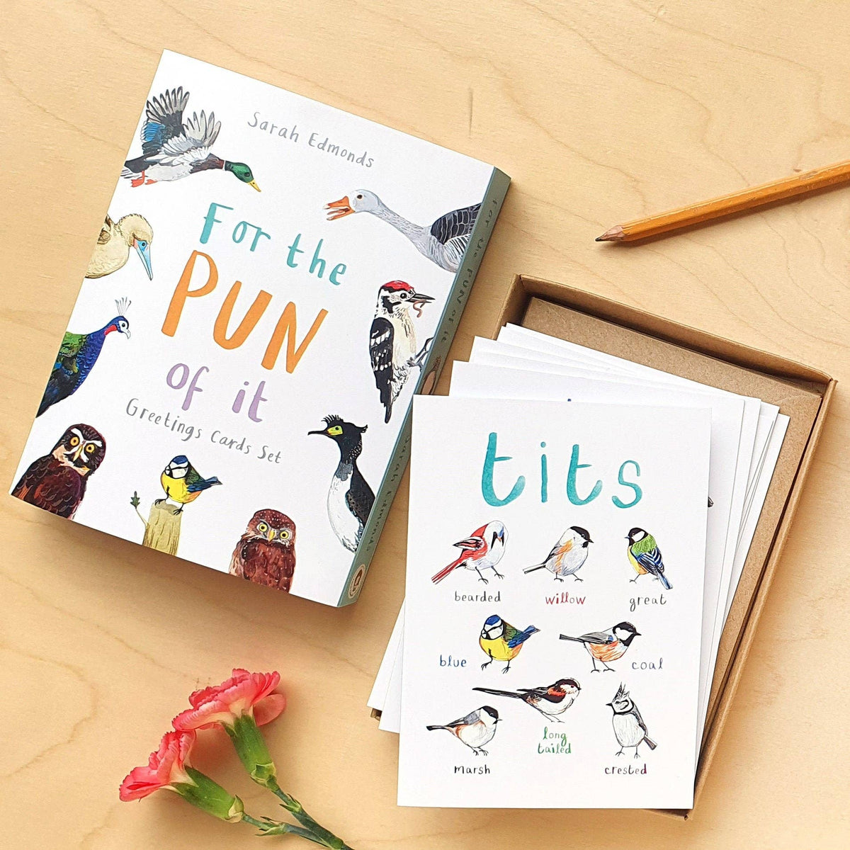 Sarah Edmonds Boxed Set of 8 Bird Pun Cards – illustrated design