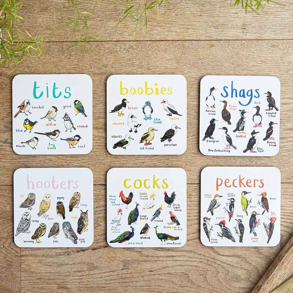 Sarah Edmonds Set of 6 Bird Pun Coasters – illustrated design