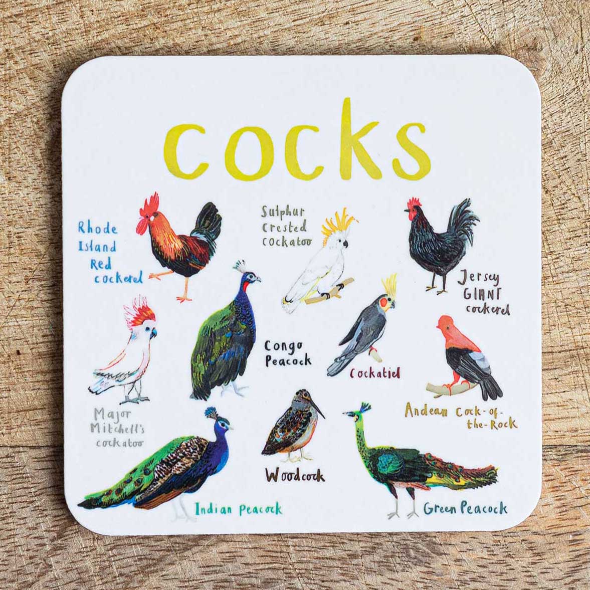Sarah Edmonds Cocks Bird Coaster – illustrated design