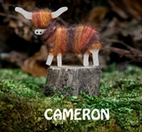 Hairy Coo Magnet