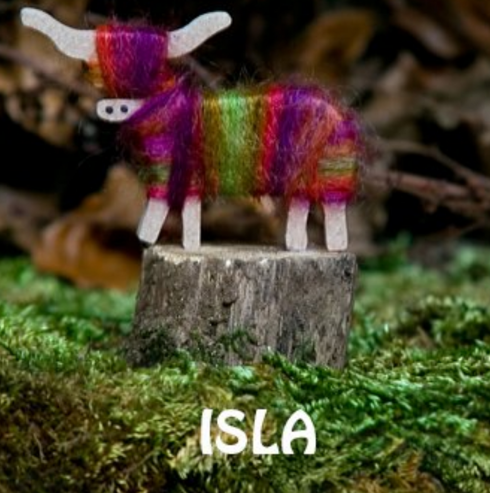 Hairy Coo Standing Coo The Arran Gift Box