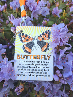 The IDENTIFY Minibeasts and Trees Explorer Cards feature an orange and black butterfly among purple flowers, sharing fun facts: butterflies taste with their feet, eat with a proboscis, and don’t pee or poo. Perfect for UK wildlife guides.
