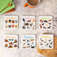 Sarah Edmonds Set of 6 Wild Pun Coasters – illustrated design