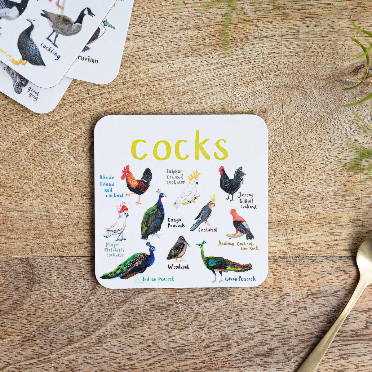 Sarah Edmonds Cocks Bird Coaster – illustrated design
