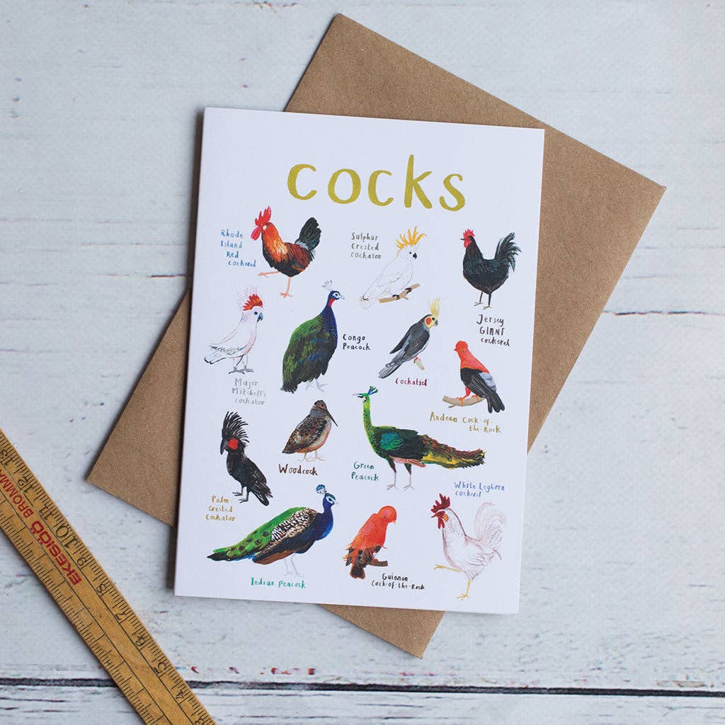 Sarah Edmonds Cocks Bird Greeting Card – illustrated design