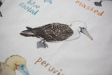 Sarah Edmonds Boobies Bird Cotton Apron – illustrated design
