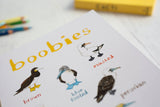 Sarah Edmonds Boobies Recycled Notebook - A5 – illustrated design