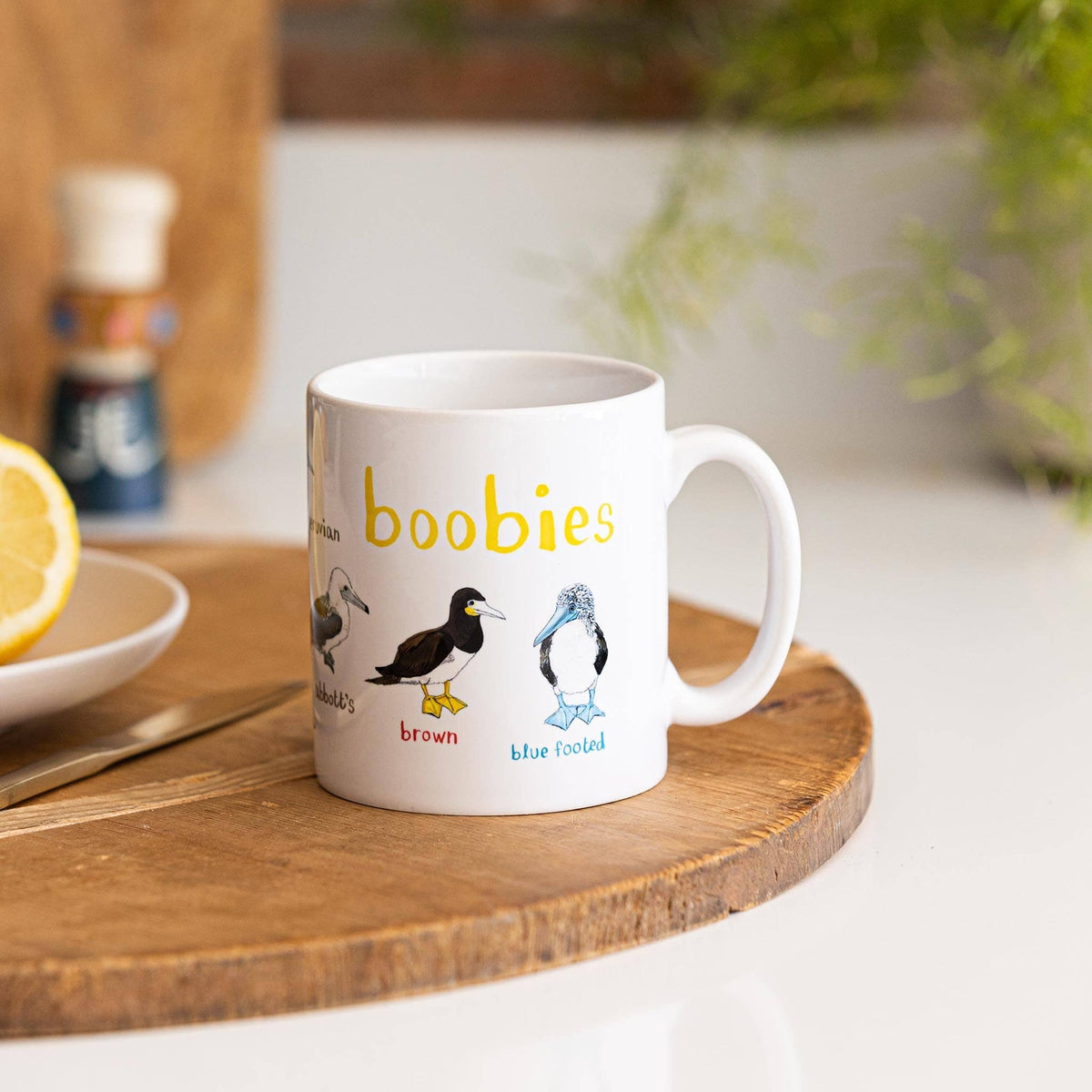 Sarah Edmonds Boobies Bird Mug – illustrated design
